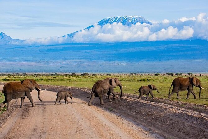 6 Days Group Multi Day Tour Masai Mara Lake Nakuru and Amboseli - What the $1,850 price really covers