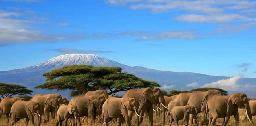 6 Days, Group Safari to Masai Mara, Lake Nakuru and Amboseli - Day 1: Nairobi to Masai Mara via the Great Rift Valley