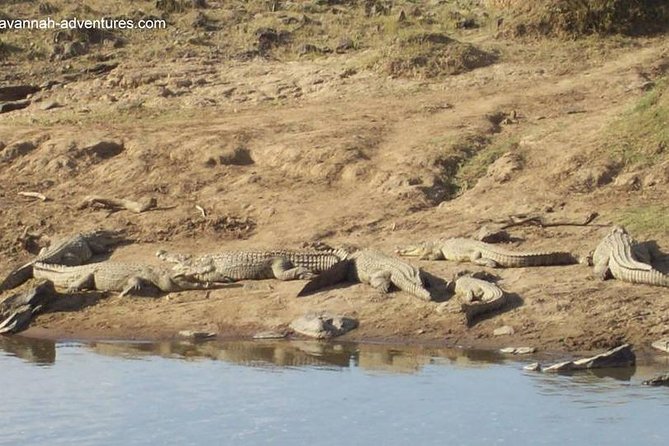 6 days guided safari: nairobi / lake nakuru / lake naivasha / masai mara n r - Day 3: Lake Naivasha by boat and on foot