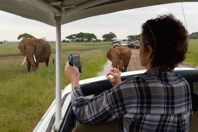 6 days guided safari: nairobi / lake nakuru / lake naivasha / masai mara n r - Day 5: A full day in the Masai Mara