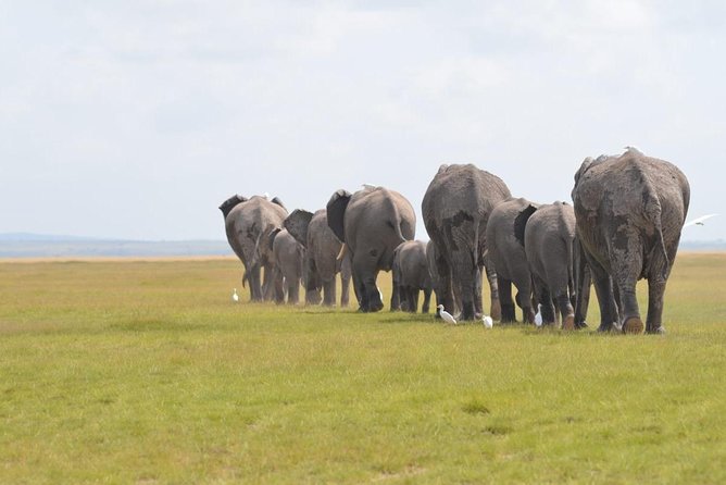 6 Days in Masai Mara- Lake Nakuru- Amboseli - Day 1: Nairobi to Masai Mara through the Great Rift Valley