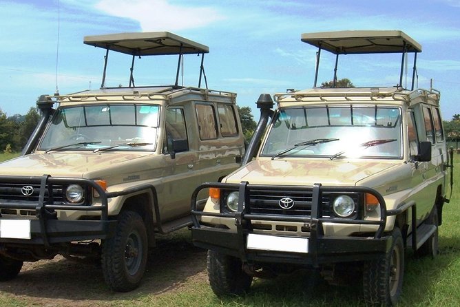 6 Days Kenya Allround Safari - Mombasa - Day 2: Tsavo West’s springs and volcanic ground