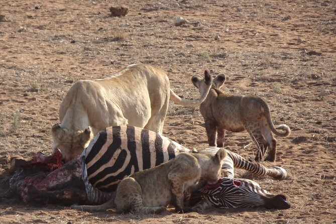 6 Days Kenya Masai Mara,Lake Nakuru & Amboseli Wildlife Safari - The long transfer to Amboseli