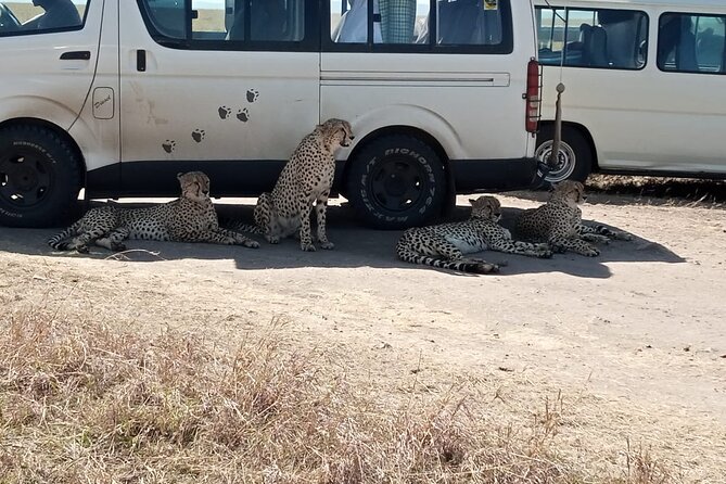 6 Days Kenya Masai Mara,Lake Nakuru & Amboseli Wildlife Safari - What the $2,000 price includes