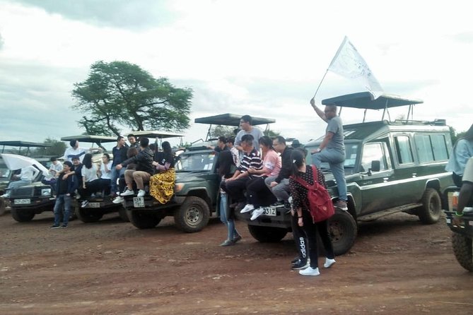 6 Days Maasai Mara/Nakuru/Amboseli Group Safari - Day 5: Elephants and Kilimanjaro in Amboseli