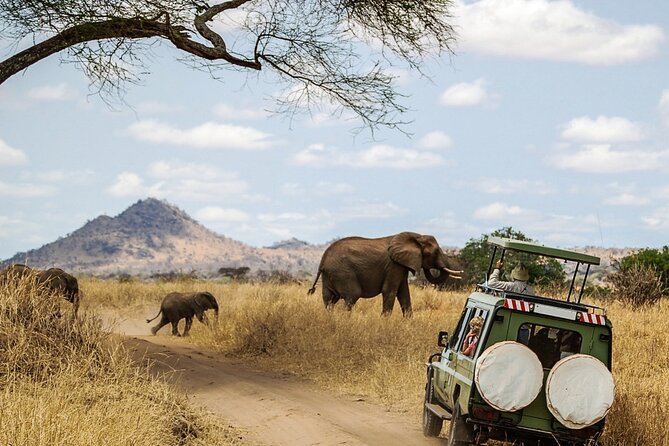 6 Days Masai Mara, Lake Nakuru and Amboseli Budget Group Safari - Day 3: Leaving the Mara for Lake Nakuru