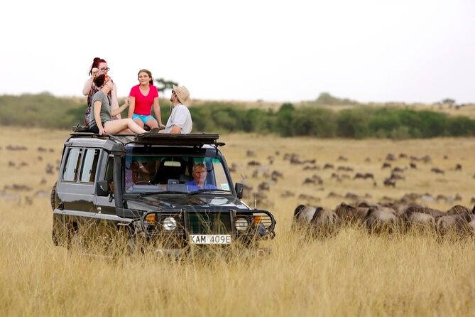 6-Days Masai Mara, Nakuru & Amboseli Group Safari on Landcruiser - Day 5: Kilimanjaro views and Amboseli wildlife