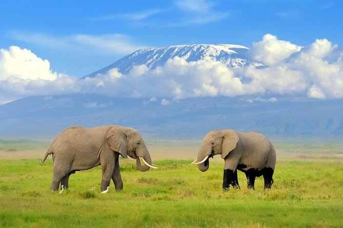 6 Days Masai Mara-Nakuru-Amboseli - Lodge Safari-Private 4X4 JEEP - Day 1: Nairobi to Masai Mara via the Great Rift Valley