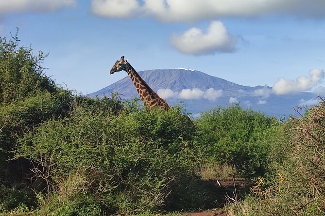 6-Days of Elephants, Wildebeest and Big 5: Kenya’s Classic Safari - Why this six-day route works