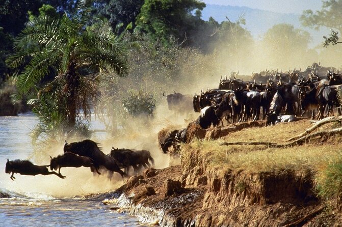 6 Days of Kenyan Wonders: Amboseli, Lake Nakuru, and Masai Mara - Day 3: The long transfer to Lake Nakuru