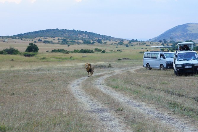 6 Days private safari package Kenya - What Amboseli adds to a six-day Kenya safari