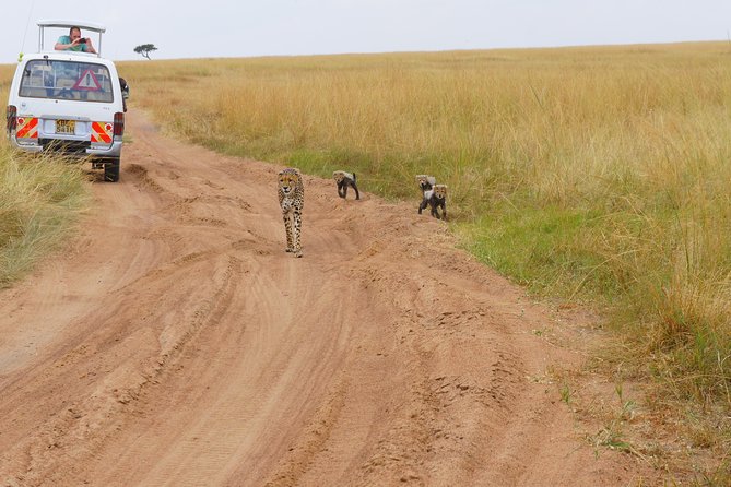 6 Days private safari package Kenya - Who this Kenya safari suits best