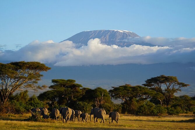 6 Days Safari Tour in Amboseli, Tsavo West and Tsavo East - Day 3: Kilimanjaro at dawn and Tsavo West