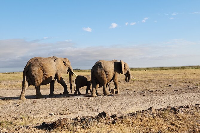 6 Days Safari Tour in Amboseli, Tsavo West and Tsavo East - Day 4: Crossing into Tsavo East