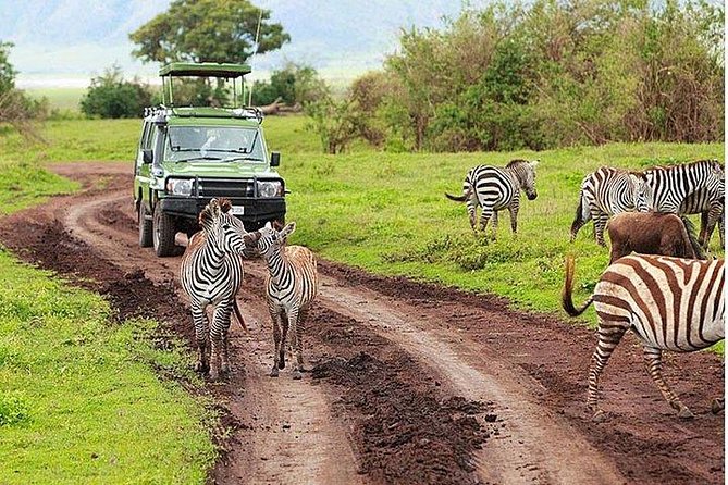 6Days Amboseli, Lake Nakuru and Masai Mara Camping Safari on Jeep - Day 5: The Mara River and a full day on safari
