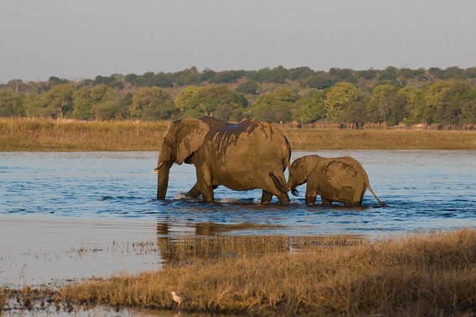 7 Day Guided Safari Tour in Kenya and Tanzania - Day 7: Shopping, village life, and Kilimanjaro Airport