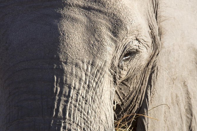 7 Day Guided Safari Tour in Kenya and Tanzania - Day 1: The road from Nairobi to the Masai Mara
