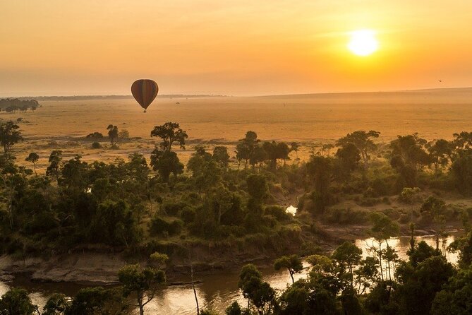 7-Day Masai Mara Lake Nakuru Samburu and Ol Pejeta Kenya Safari - The early Ol Pejeta drive and return to Nairobi