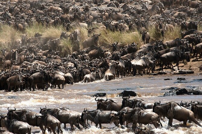 7-Day Masai Mara Lake Nakuru Samburu and Ol Pejeta Kenya Safari - What the $3,695.95 price covers