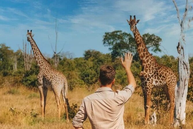 7-Day Masai Mara Nakuru Amboseli Kenya Budget Safari - Key points to know before booking