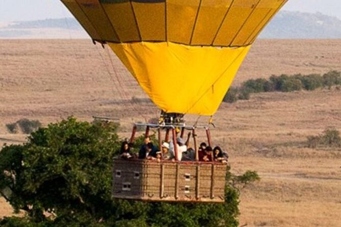 7-Day Masai Mara Nakuru Amboseli Kenya Budget Safari - Day 6: Full-day wildlife in Amboseli