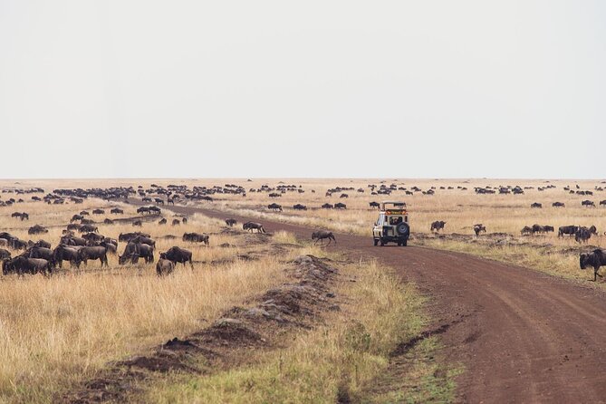 7 Day Private Jeep Safari, 5 star lodges with Balloon Ride Kenya - Day 3: Leaving the Mara for Lake Nakuru