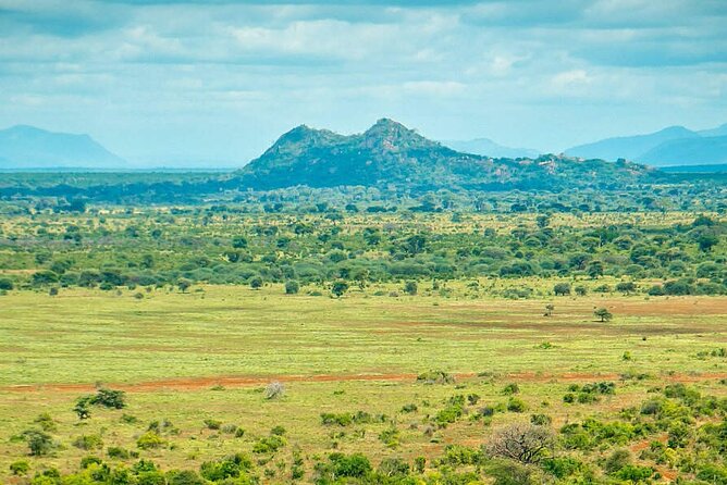 7-Day Private Tour in Kenya National Parks From Nairobi / Mombasa - Day 7: A final game drive before returning to Nairobi