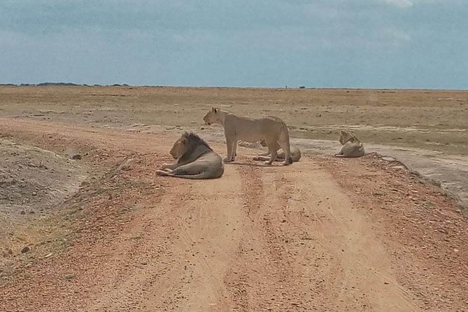 7-Day Samburu, Maasai Mara, L Nakuru, Lake Naivasha Hell's Gate - Why the route works so well in seven days