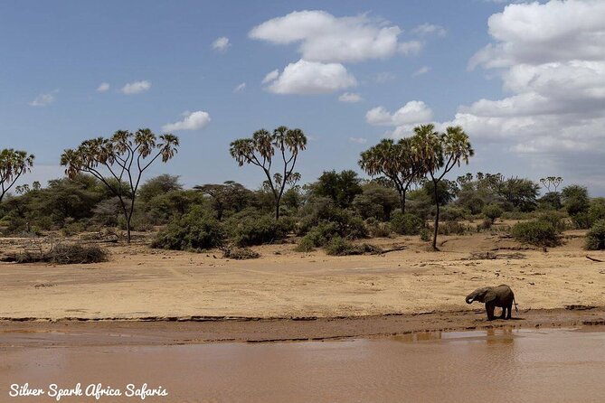 7-Day Samburu, Maasai Mara, L Nakuru, Lake Naivasha Hell's Gate - Day 3: Equator stops, Thompson’s Falls, and Lake Nakuru