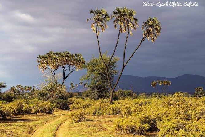 7-Day Samburu, Maasai Mara, L Nakuru, Lake Naivasha Hell's Gate - Day 4: Crossing the Rift Valley to Maasai Mara