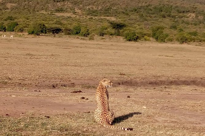 7-Day Samburu, Maasai Mara, L Nakuru, Lake Naivasha Hell's Gate - Day 7: The long return to Nairobi