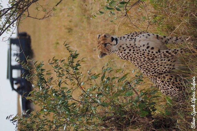 7-Day Samburu, Maasai Mara, L Nakuru, Lake Naivasha Hell's Gate - Day 1: From Nairobi to Samburu beyond the equator