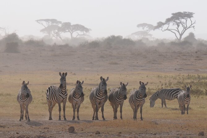 7 Day Tour of Amboseli Lake Nakuru and Masai Mara - What the $3,390 price really buys you