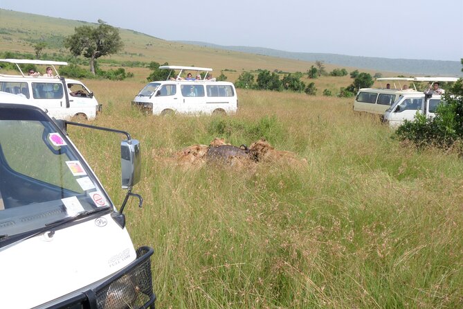 7 Days Amboseli-Lake Naivasha-Lake Nakuru & Masai Mara - Day 2: A full Amboseli game drive