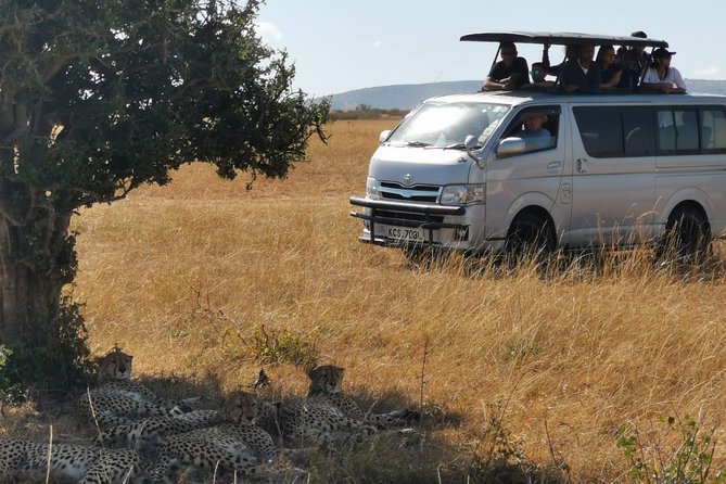7 Days Amboseli, Naivasha, Maasai Mara and Lake Nakuru game parks - Day 4: Lake Nakuru, Makalia Waterfalls, and a picnic lunch