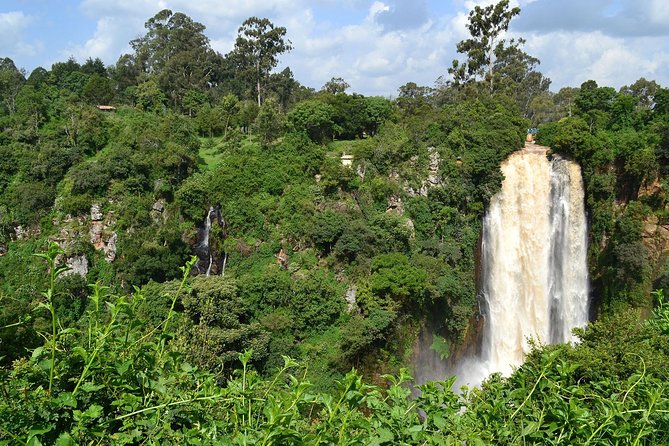7 Days Breathtaking Kenya Wildlife Private Safari - Day 3: Aberdare and The Ark Lodge