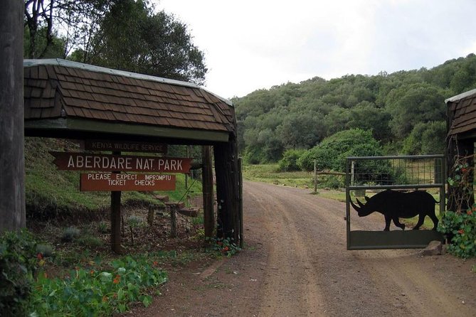 7 Days Breathtaking Kenya Wildlife Private Safari - Day 7: One last drive and return to Nairobi