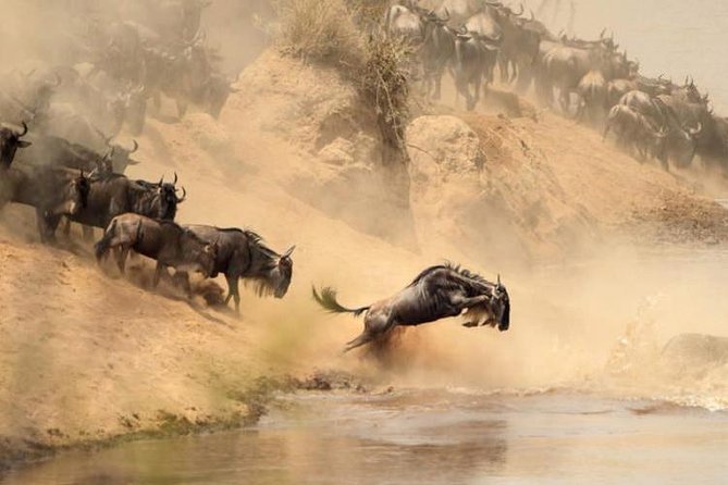 7 days Group Safari Masai Mara Lake Nakuru Hells gate & Amboseli - Day 4: A morning park visit, then a boat on Lake Naivasha