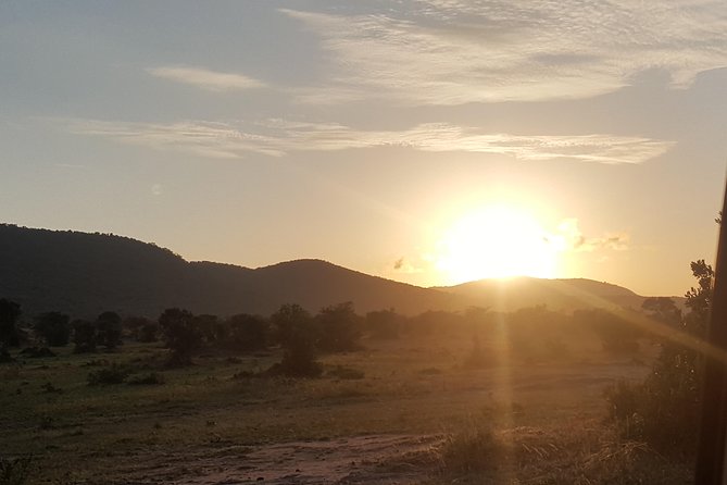 7 Days Kenya Tour Budget Safari - Transport, group size, and the rhythm of the week