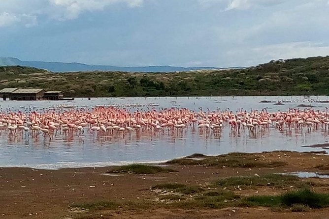 7 Days maasai mara - lake nakuru - lake naivasha- amboseli safari. - Day 5: Walking and cycling at Hell’s Gate