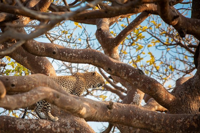 7 Days Maasai Mara, Lakes Nakuru, Naivasha & Amboseli Group Tour - Day 5: Walking and cycling at Hell’s Gate