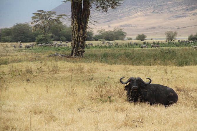 7 Days Mara/L.Naivasha/L.Nakuru/Amboseli - Day 3: Lake Naivasha and Hell’s Gate