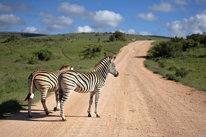 7 Days Mara/L.Naivasha/L.Nakuru/Amboseli - Day 1: From Nairobi to the Maasai Mara