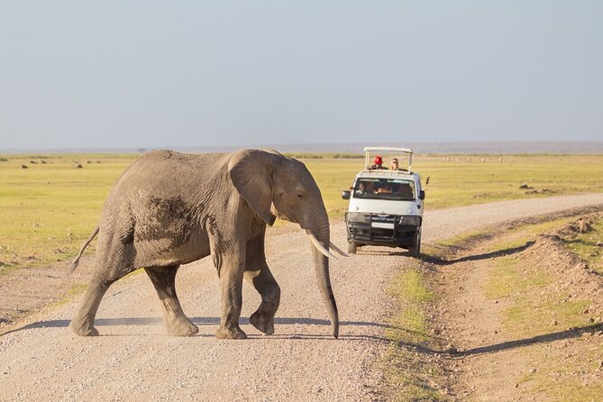 7 Days of Elephants, Rhinos & Big Five: The Best of Kenya Safari - Day 1: From Nairobi to the Maasai Mara
