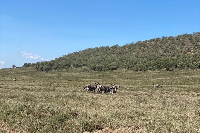 7 Days Private 4 star lodges Safari by LandCruiser from Nairobi - Day 4: Hell’s Gate by vehicle and bicycle, then Lake Naivasha by boat
