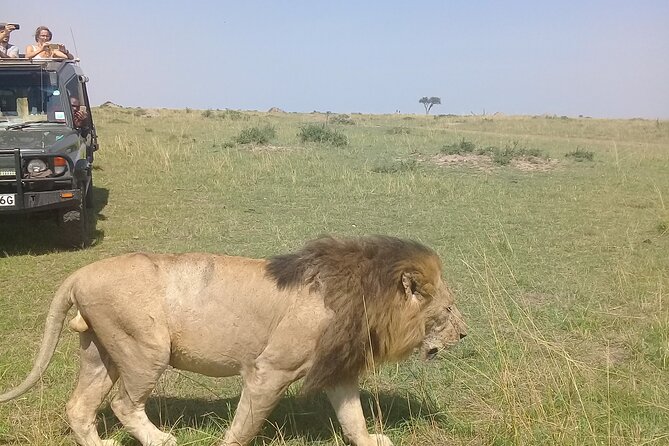 7 Days Private safari to 4 Star lodges using a Jeep - What makes this Kenya safari worth a closer look