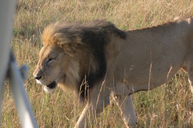 7 Days Private safari to 4 Star lodges using a Jeep - Day 4: Rhinos, bicycles, and a boat on Lake Naivasha