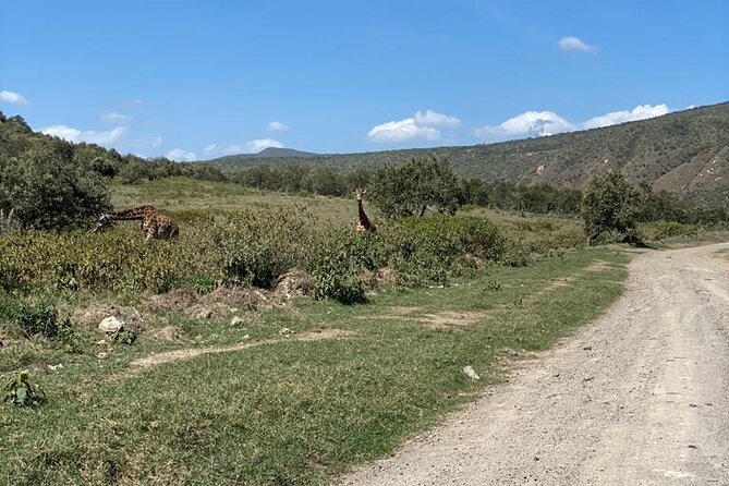 7 Days Private safari to 4 Star lodges using a Jeep - Lodges, meals, and what the $2,474 price covers