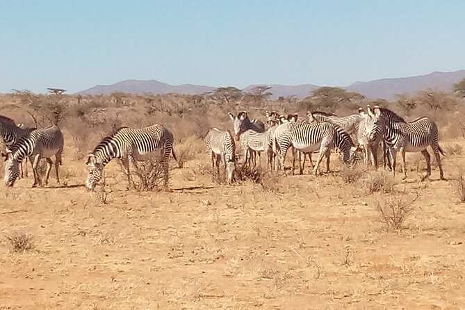 7 Days Safari, Samburu N/R Ol Pejeta Conservancy, Hells Gate N/P Maasai Mara N/R - Key points at a glance
