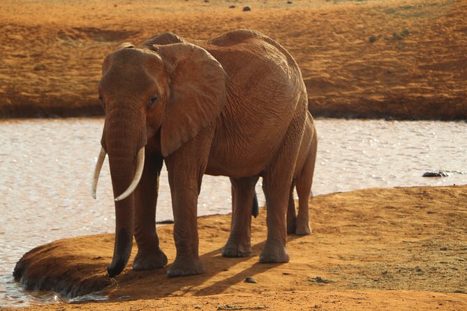 7 Days Safari to Maasai Mara, Nakuru, Naivasha and Amboseli - Day 1: Rift Valley views and a first Mara game drive